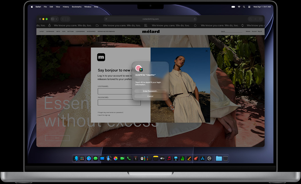 Beim Surfen in Safari wird eine Person aufgefordert, sich mit Touch ID bei einer Website anzumelden