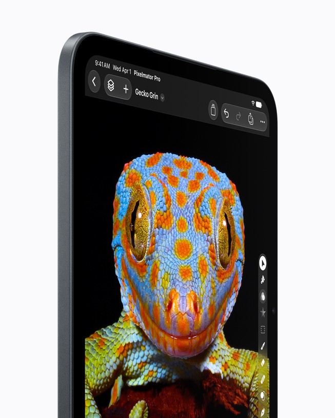 Imagem aproximada da tela Super Retina XDR no iPad mini mostrando uma foto detalhada de um lagarto.