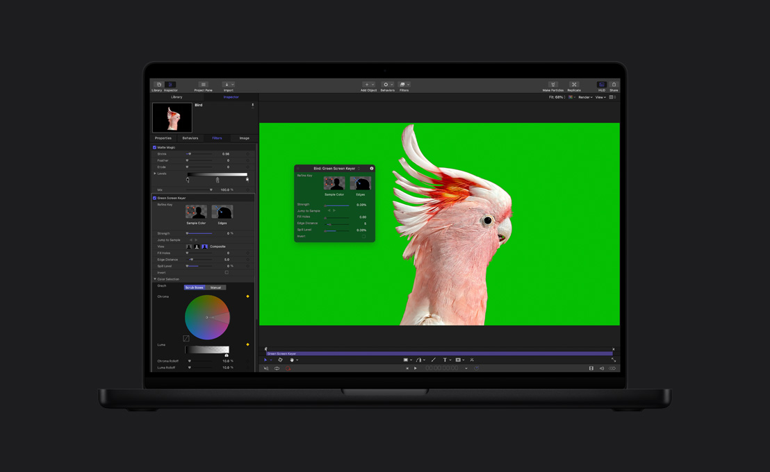 16 Zoll MacBook Pro, pinker Kakadu vor grünem Hintergrund, Demo von Chroma Key
