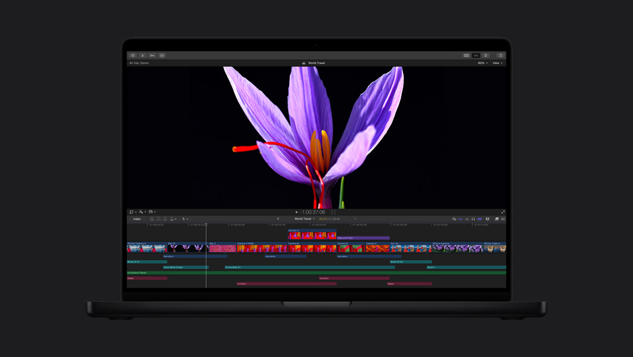 HDR auf einem 16 Zoll MacBook Pro, Nahaufnahme einer violetten Blume mit roten Staubblättern