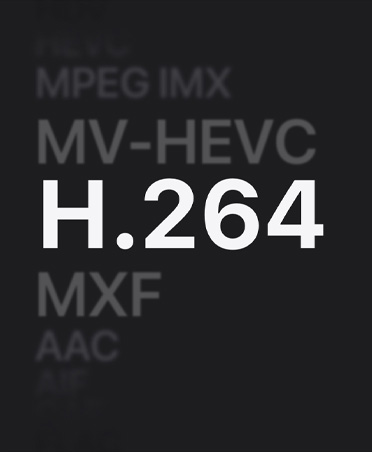 Liste mit MPEG IMX, MV‑HEVC, H.264, MXF, AAC